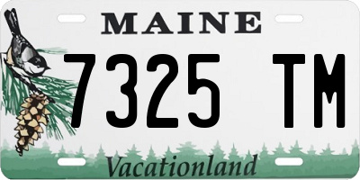 ME license plate 7325TM