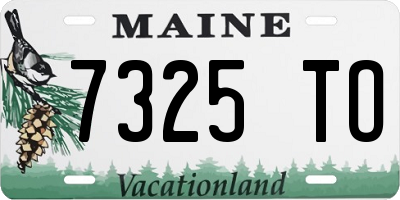 ME license plate 7325TO