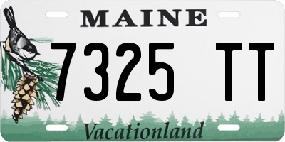 ME license plate 7325TT