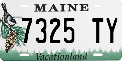 ME license plate 7325TY