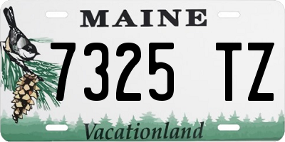 ME license plate 7325TZ