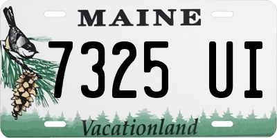 ME license plate 7325UI