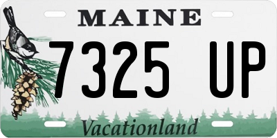 ME license plate 7325UP