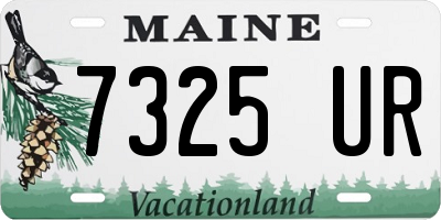 ME license plate 7325UR