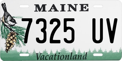 ME license plate 7325UV