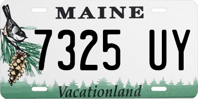 ME license plate 7325UY