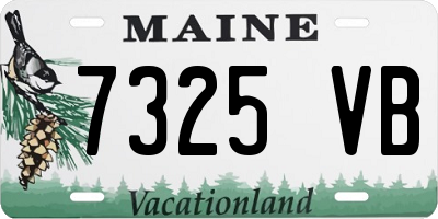 ME license plate 7325VB