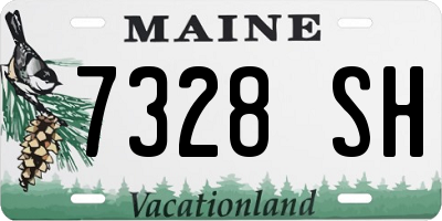 ME license plate 7328SH