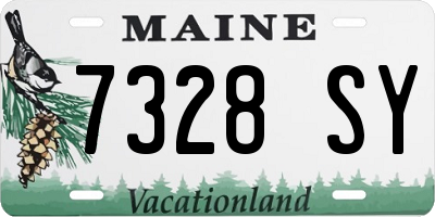 ME license plate 7328SY