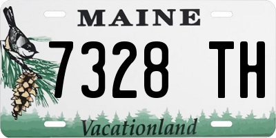 ME license plate 7328TH