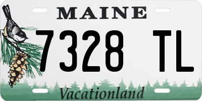 ME license plate 7328TL
