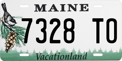 ME license plate 7328TO