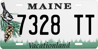 ME license plate 7328TT