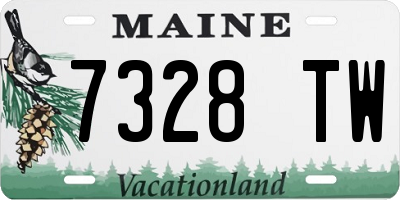 ME license plate 7328TW