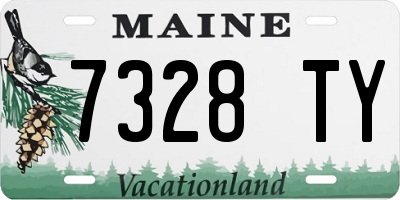 ME license plate 7328TY