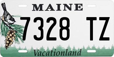 ME license plate 7328TZ