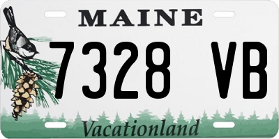 ME license plate 7328VB