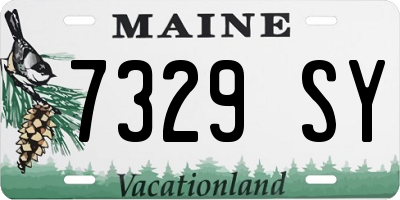 ME license plate 7329SY