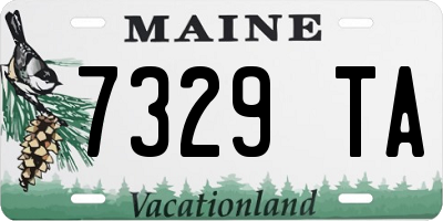 ME license plate 7329TA