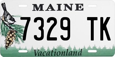 ME license plate 7329TK
