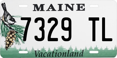 ME license plate 7329TL