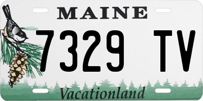 ME license plate 7329TV