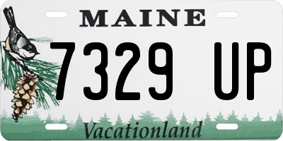 ME license plate 7329UP