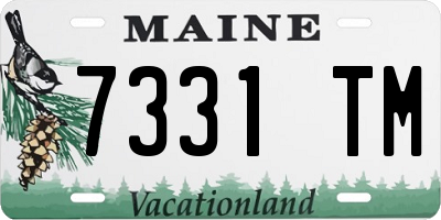 ME license plate 7331TM