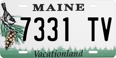 ME license plate 7331TV