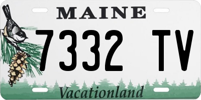 ME license plate 7332TV