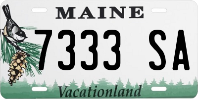 ME license plate 7333SA