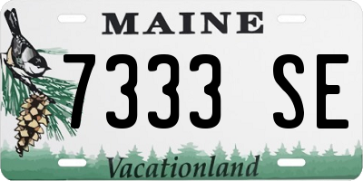 ME license plate 7333SE