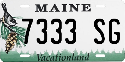 ME license plate 7333SG