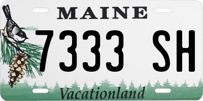 ME license plate 7333SH