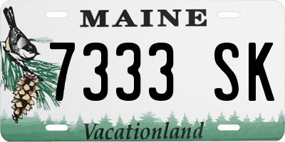ME license plate 7333SK