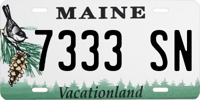 ME license plate 7333SN