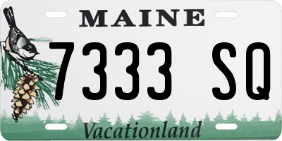 ME license plate 7333SQ