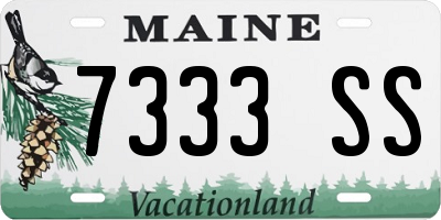 ME license plate 7333SS