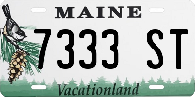 ME license plate 7333ST