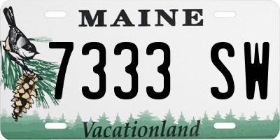 ME license plate 7333SW