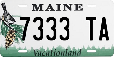 ME license plate 7333TA