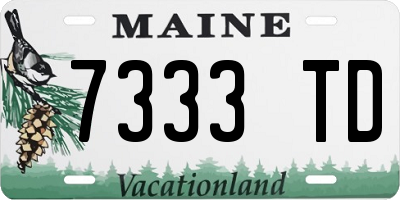 ME license plate 7333TD