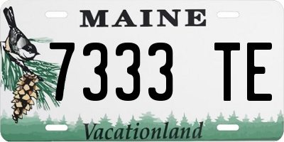 ME license plate 7333TE