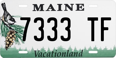 ME license plate 7333TF