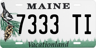 ME license plate 7333TI
