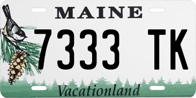 ME license plate 7333TK