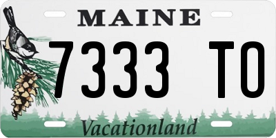 ME license plate 7333TO