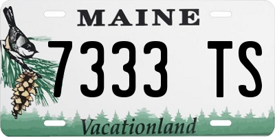 ME license plate 7333TS