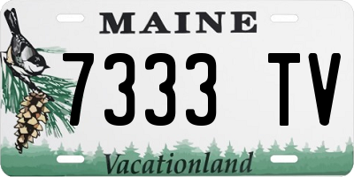 ME license plate 7333TV