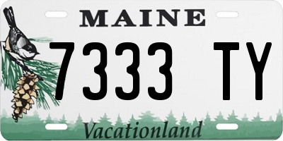 ME license plate 7333TY